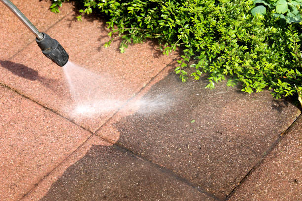 Best Deck Cleaning Services  in Malvern, IA